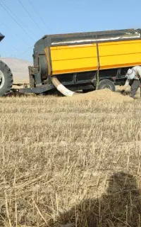 انجام خدمات مکنده کاه ،دیکس ،شخم ،کشت نخود