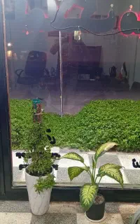 ویلایی طبقه دوم بلوار جهاد