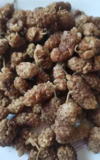 توت خشک  ارگانیک کیلویی 400