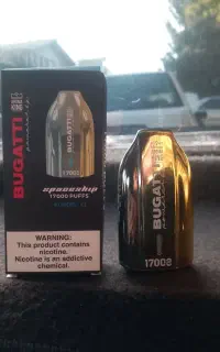 پاد17000