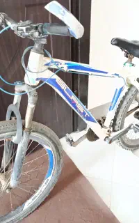 دوچرخه
