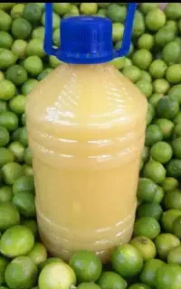 ابلیمو گیری ترخون ابلیمو طبیعی کنگان