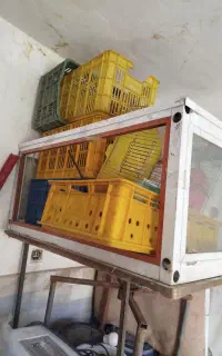 اکواریم