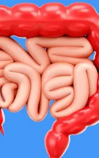 پک اقتصادی رفع یبوست بواسیر و شقاق