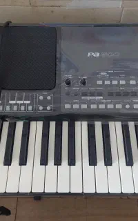 ارگ pa600