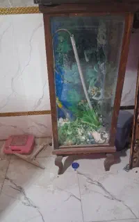 اکواریم