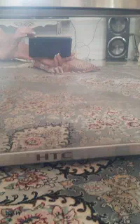 توستر