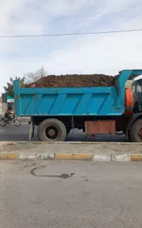 کود حیوانی