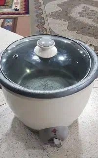 پلوپز برقی