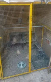 قفس‌کبوتر‌‌‌‌