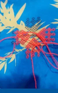 تک ودامن