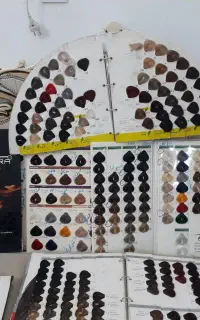 آلبوم رنگ