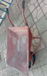 فرغون سالم
