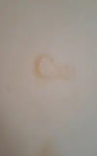 گچکاری و لکگیری