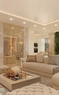 خانم برای انجام کارای خونه