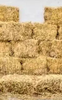 کاه کولش پرس جو گندم