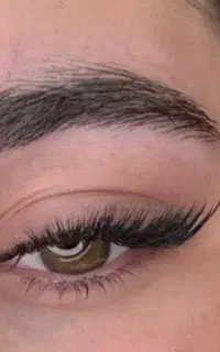 مژه