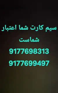 9177698313