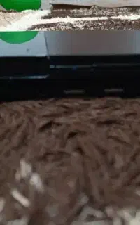 ps2