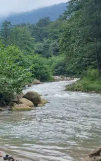 عینک پیدا شده