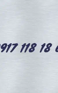09171181869