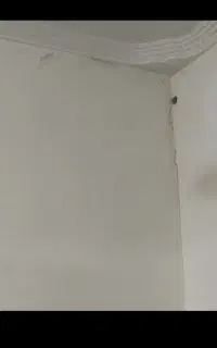 دوتا اتاق