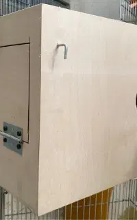 لونه