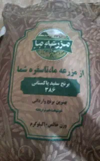 پاکستانی پلمپ بااعتباراسنپ پی و دیجی پی هم میفروشم