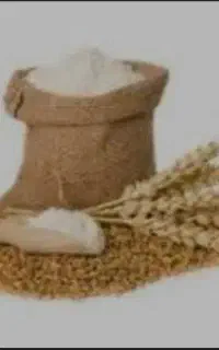 آردگندم