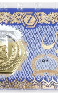 سکه پارسیان ۲۰۰ سوت زردیس