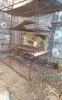 قفس پرنده