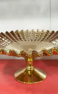 پلاسکورضا