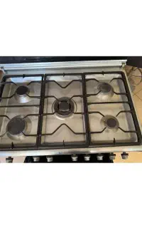 اجاق گاز فردار با دوجوجه گردان