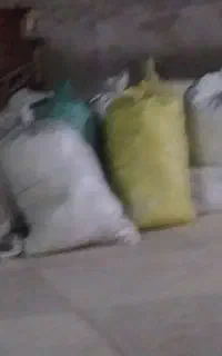 خاک کبوتر