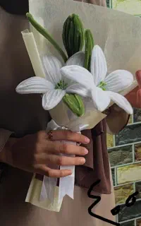 اقتصادی ترین دسته گل