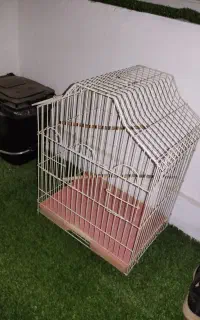 قفس