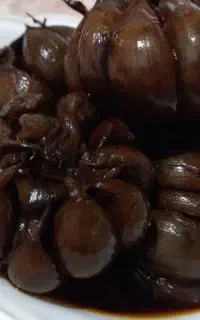 سیر