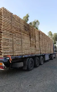 خرید و فروش پالت چوبی