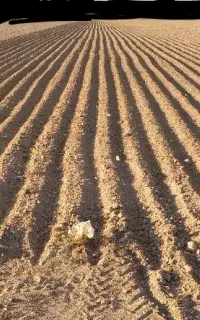 راننده تراکتور هستم