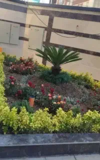 خدمات باغبانی باغچه کاری گل کاری تمام نقاط تهران