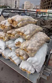 سیب زمینی کیسه 400تومن