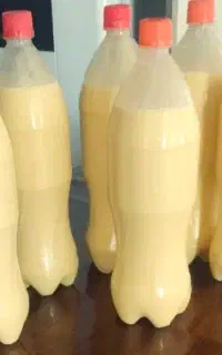 آغوز تازه