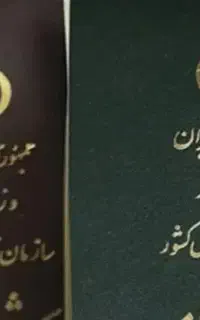 شناسنامه گم شده