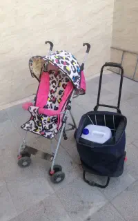 کالسکه سالم