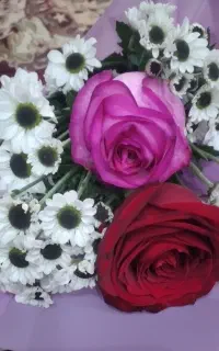 تشک بچه .