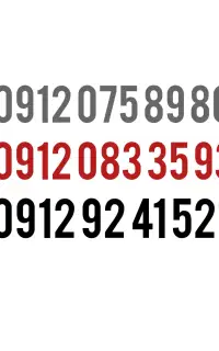0912.9241521