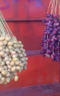 برحی ، رطب و خارک