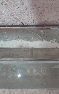 آکواریوم شیه ای بزرگ سالم و بشرط