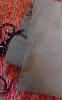 دهنه و جل اسب