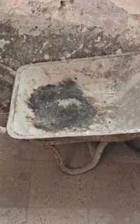 فرغون